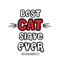Cuscino Slave Marameow