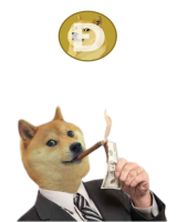 Doge Army MONEY