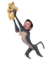 Doge Army Elon Musk Original
