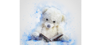 CAPPELLINO CON PELUCHE CHE LEGGE