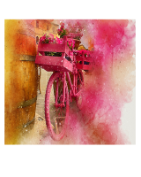 BORSA NAIF BICICLETTA