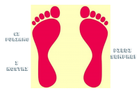 ZERBINO CON I PIEDI