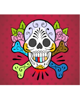 Immagine con teschio colorato.