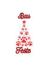 Felpa Bau Feste