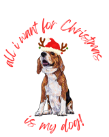 Felpa Beagle