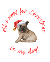 Felpa bullo fulvo