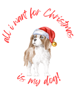 Felpa Cavalier king
