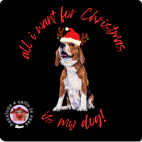 Calamita beagle