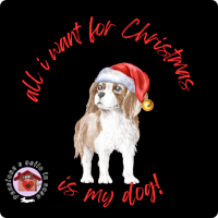 Calamita cavalier king