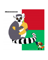 Lemur Catta: Animals, National Flags, and Foods   