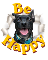 Be Happy Nemo