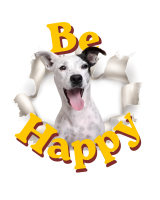 Be Happy Fanny