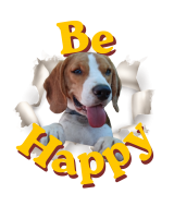 Be Happy Ciro