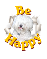 Be Happy Flash