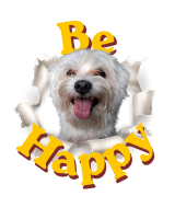 Be Happy Kobe