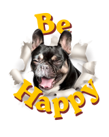 Be Happy Nalini