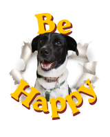 Be Happy Wyke