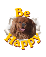 Be Happy Franz