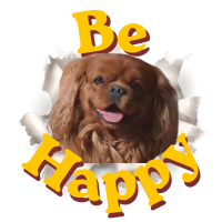 Portachiavi Be Happy Franz