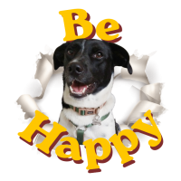 Portachiavi Be Happy Wyke