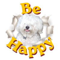 Portachiavi Be Happy Flash