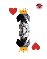 Re di cuori Camillo