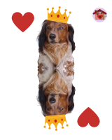 Re di cuori Lancillotto