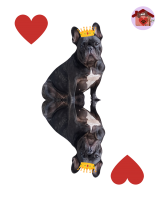 Regina di cuori Lea