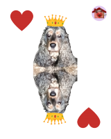 Regina di cuori Perla