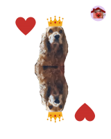 Re di cuori Dalì