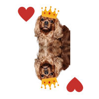 Portachiavi Re di cuori Franz