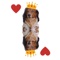 Portachivai Re di cuori Lancillotto