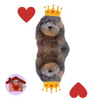 Calamita Re di cuori Pepe