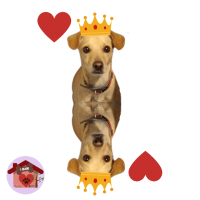 Calamita Re di cuori Chip