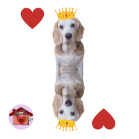 Calamita Regina di cuori Carlotta