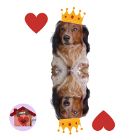 Calamita Re di cuori Lancillotto
