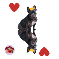 Calamita Regina di cuori Lea