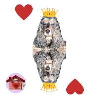 Calamita Regina di cuori Perla
