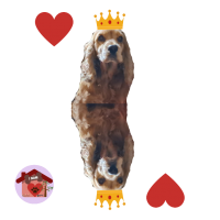 Calamita Re di cuori Dalì
