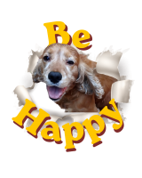 Be Happy Dalì