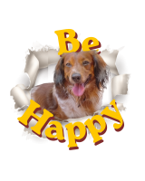Be Happy Lancillotto