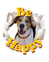 Be Happy Spooky