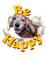 Mug Be Happy Dalì
