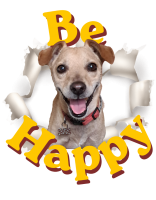 Mug Be Happy Chip