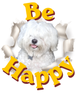 Mug Be Happy Flash