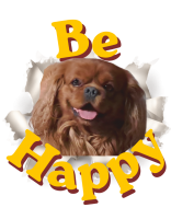 Mug Be Happy Franz