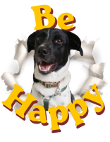 Mug Be Happy Wyke