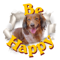 Portachiavi Be Happy Lancillotto