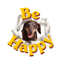 Portachiavi Be Happy Flink