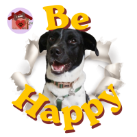 Calamita Be Happy Wyke